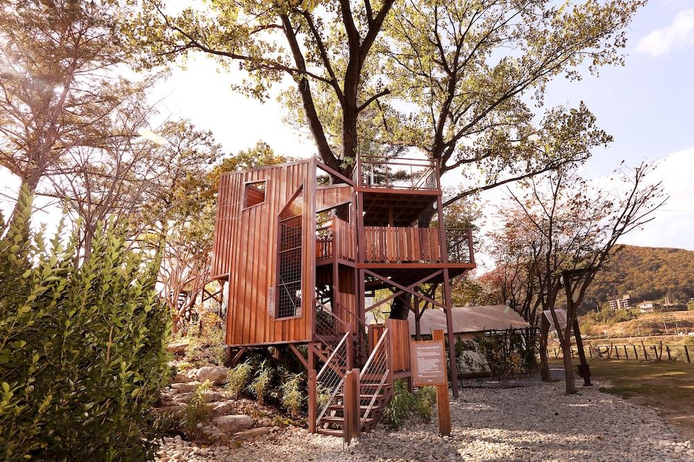 Midas Hotel & Resort Gapyeong Extérieur photo